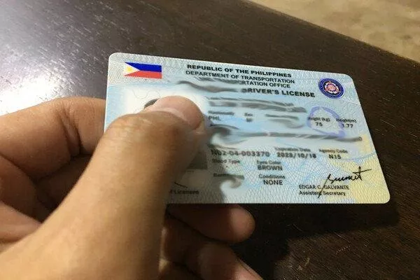 A picture of a person holding a driver's license