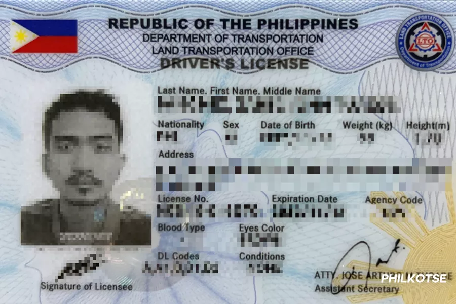 LTO non-professional driver's license