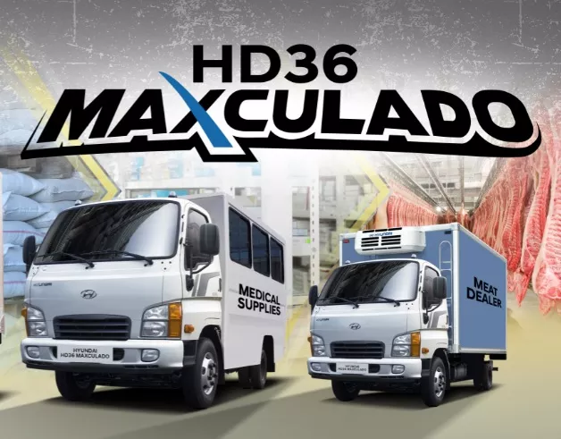 Hyundai Maxculado 