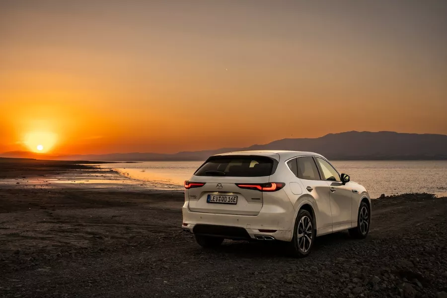 Mazda CX-60 rear view