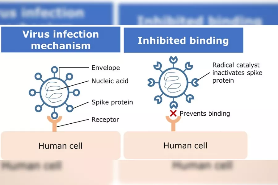 Nissan's new technology uses catalyst active species to inactivate viruses