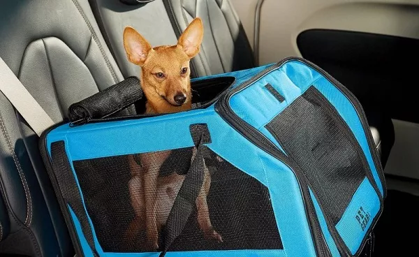 A picture of a dog in a carrier