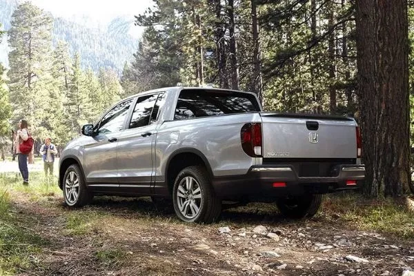 A picture of the Ridgeline in the forest