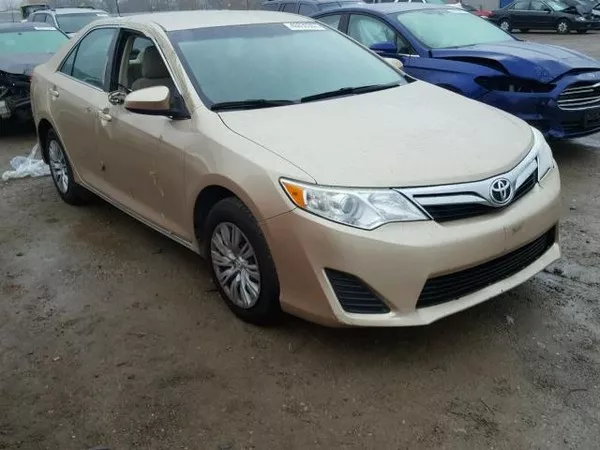 Toyota Corolla in beige color