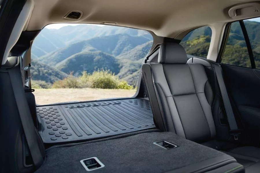 A picture of the Outback's trunk