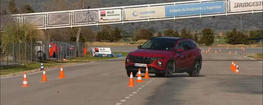2021 Tucson moose test 2