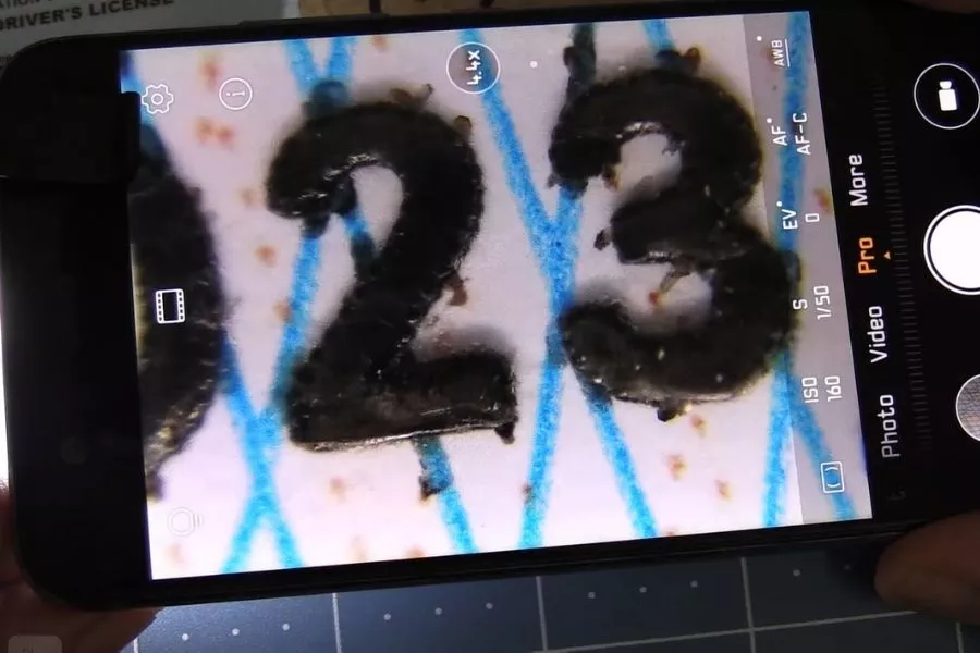 License embossed prints License embossed prints