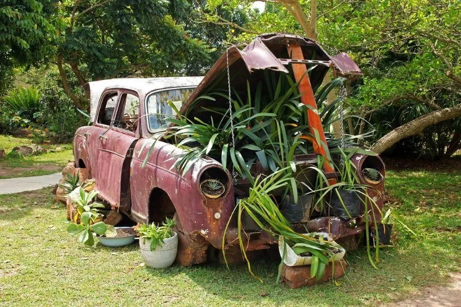 Vintage car garden