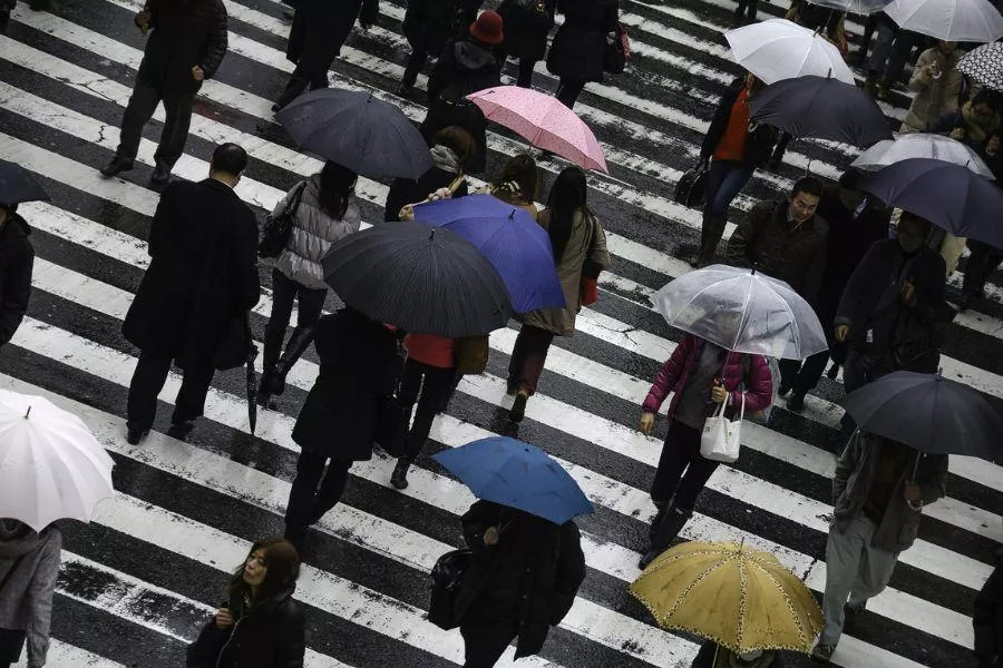 Pedestrians at crosswalk 