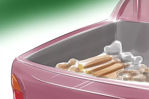 Carry along stones and wood car bed trunk