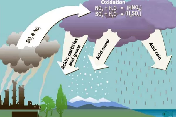 An illustration of acid rain