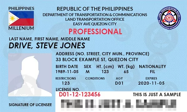 pro driver's license in the Philippines