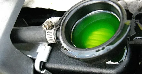 antifreeze in car radiatior
