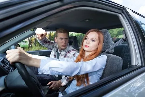 A picture of a backseat driver with his partner