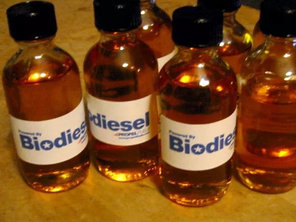 Biodiesel is derived from different sources like animal fats, vegetable oil, and others.