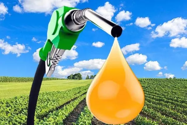 Straight vegetable oil