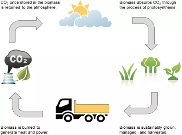 To know one's carbon neutrality, carbon footprint must be measured.