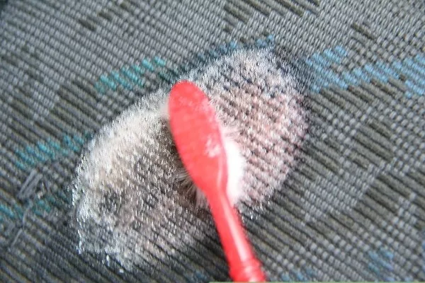 Brushing car upholstery 