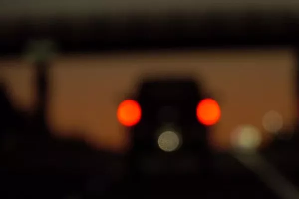 The familiar saying that around evening time all felines are dark is in certainty very evident. blurred night vision