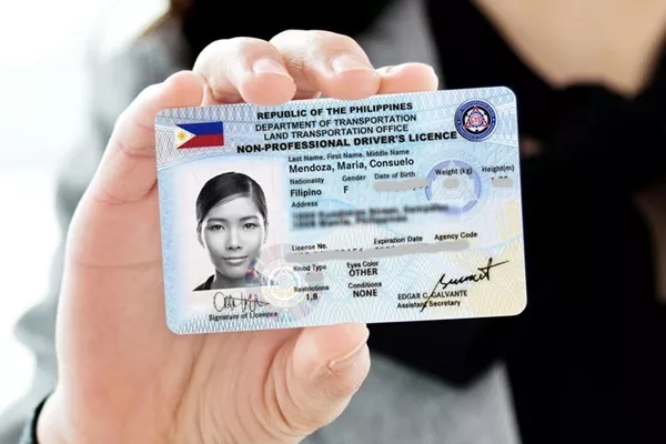 LTO driver's license
