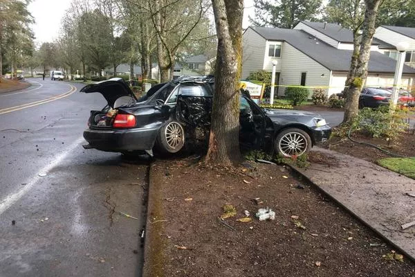 Car crashed on the tree