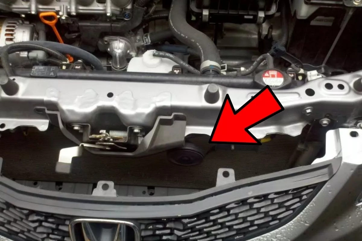 A picture of a Honda exposing its car horns