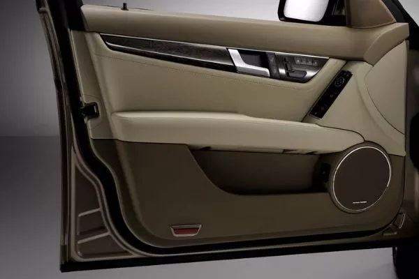 A picture of a car's interior door panels.