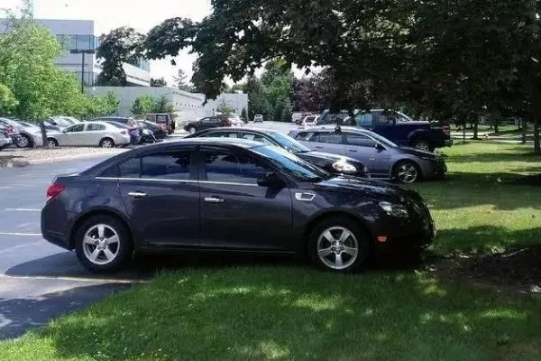 A picture of a car parked under a tree