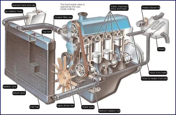 A diagram of a combustion engine highlighting the cooling system