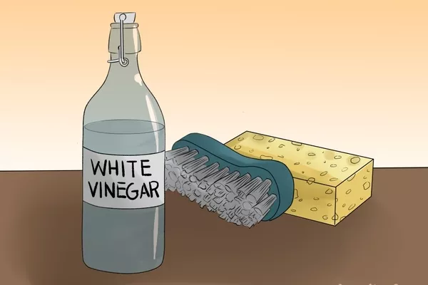white vinegar and brush
