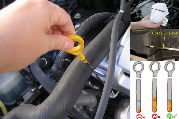 checking his car's fluid level