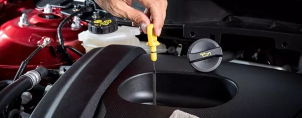 The change in color of engine oil is completely normal since the engine oil cleanses and lubricates your vehicle's engine. Man checking the engine oil