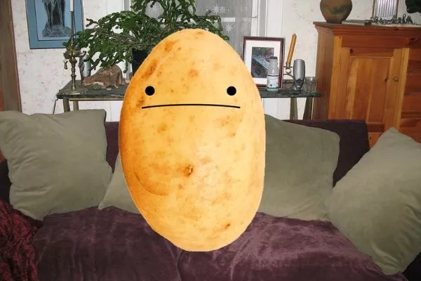 A picture of a couch potato