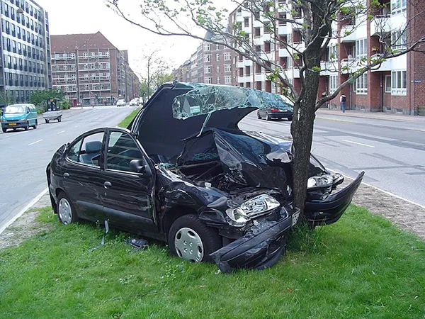 A car presumably a victim of understeer, lies wrecked because of a tree.
