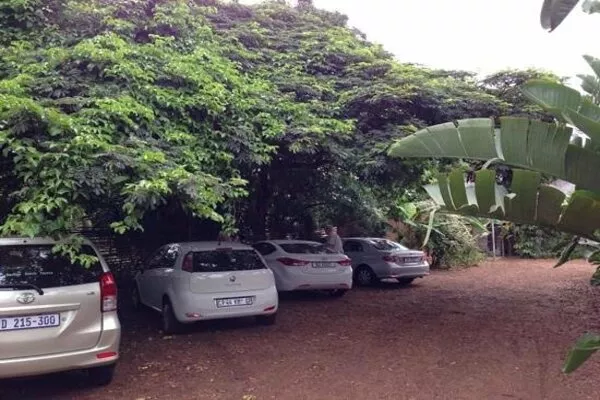 Car parked under a tree