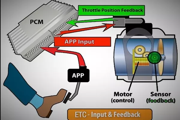 Electronic Throttle Controls main components. 