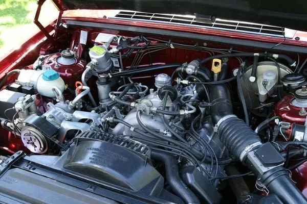 Your engine bay can play host to a variety of unwanted animals and pests engine bay