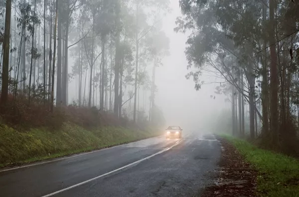 Car and fog