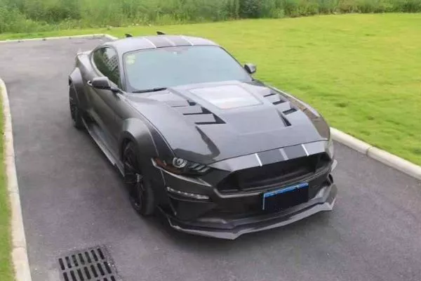 A picture of a Mustang with a carbon fiber hood.