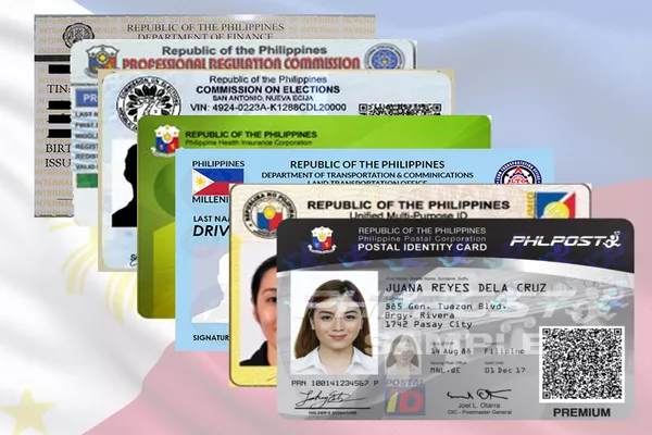 Government-issued valid IDs