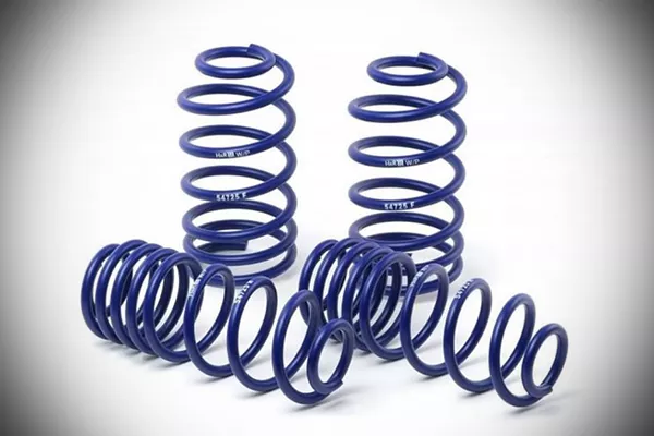 A picture of HandR lowering springs.