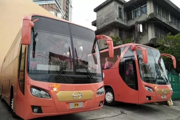 Two Hino RN8J buses parked side by side.