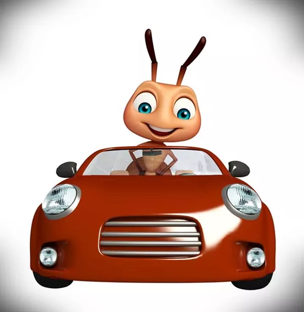 Ant in car