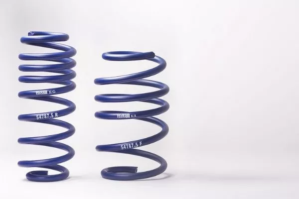 A picture of HandR Sport springs