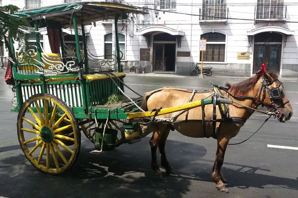 a kalesa on the road