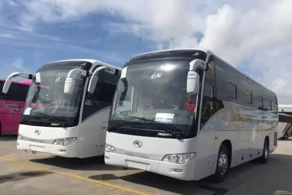 A picture of two Kinglong XMQ117Y buses parked side by side.