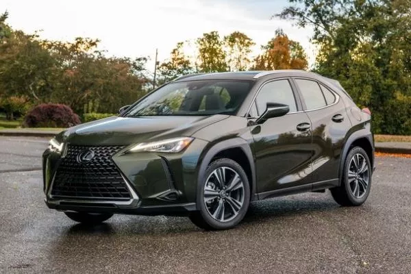 A picture of the Lexus UX in a park