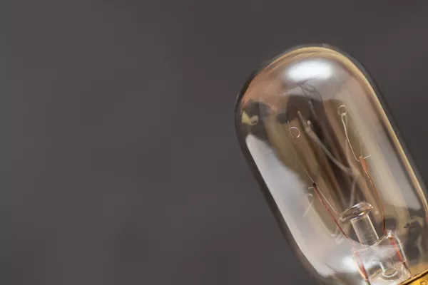 The license plate light can be of two types: incandescent bulb and LEDs light bulb