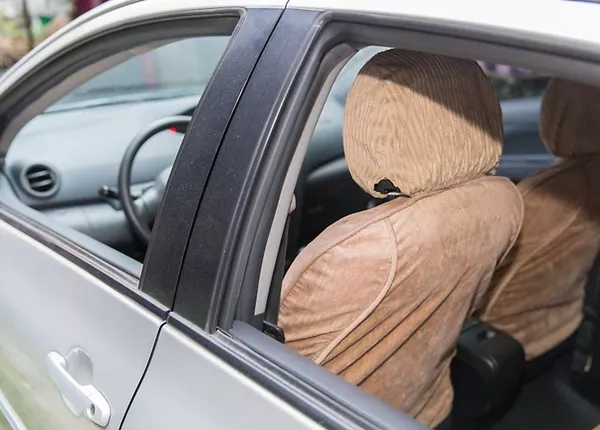 Source of moldy smell