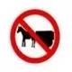No animal drawn vehicles